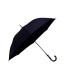 24" Long Auto Umbrella