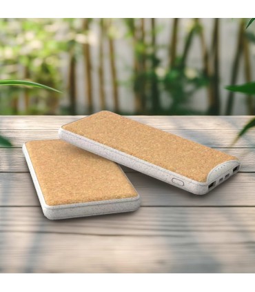 Fast-Charging Power Bank