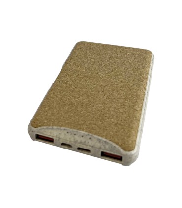 Fast-Charging Power Bank